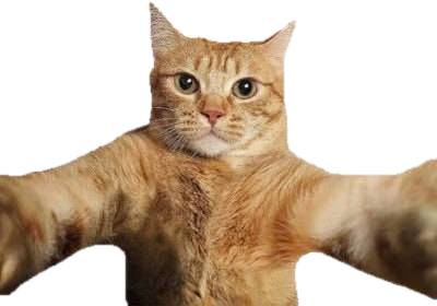 An orange cat holding the camera at arm's length